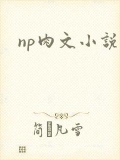 np肉文小说
