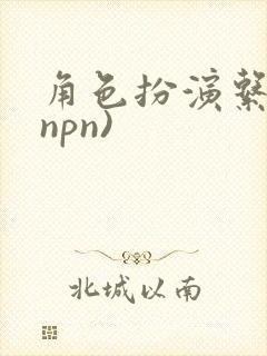 角色扮演系统(npn)
