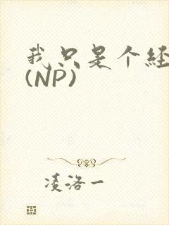 我只是个经纪人(NP)