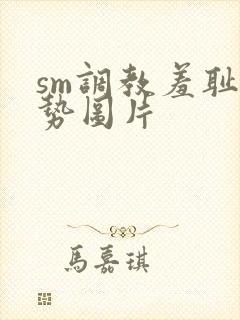 sm调教羞耻姿势图片封面