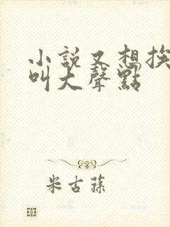 小说又想挨C了叫大声点