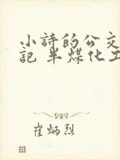 小诗的公交车日记 半煤化工封面