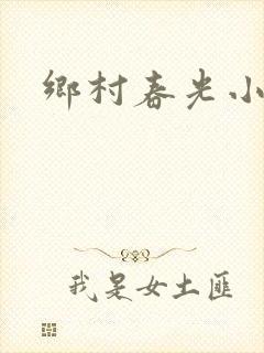 乡村春光小说
