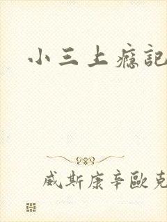 小三上瘾记