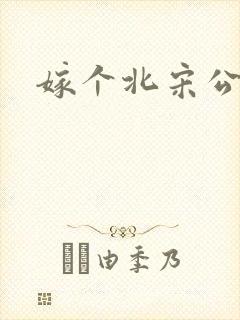 嫁个北宋公务员