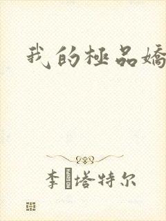 我的极品娇妻