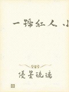 一号红人 小说