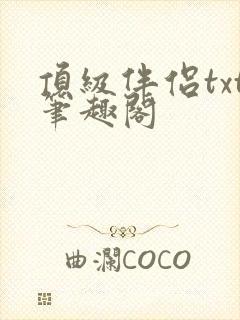 顶级伴侣txt笔趣阁