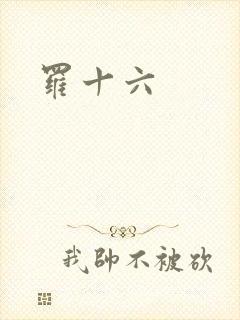 罗十六