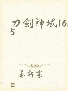刀剑神域16.5