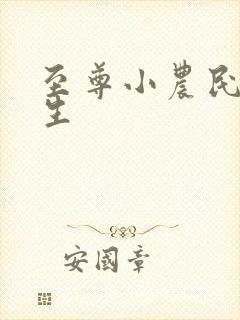 至尊小农民王木生