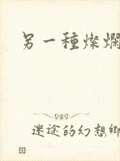 《另一种灿烂生活》小说封面