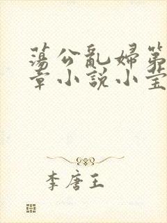 荡公乱妇第51章小说小莹