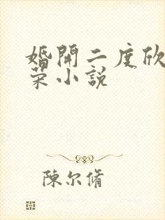 婚开二度欣欣向荣小说