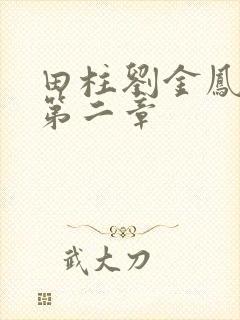 田柱刘金凤小说第二章