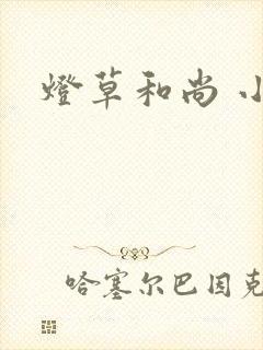 灯草和尚 小说