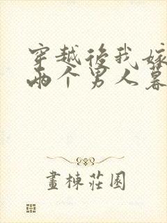 穿越后我嫁给了两个男人暮色酒歌