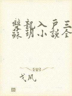 双龙入户三人行苏玥小说全文阅读