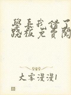 学长我错了 跷跷板免费阅读