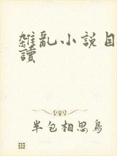 杂乱小说目录阅读