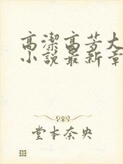 高洁高芳大团圆小说最新章节免费阅读封面