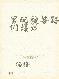 男配被各路大佬们爆炒