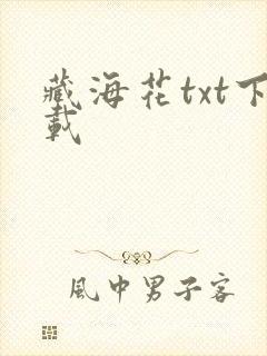 藏海花txt下载