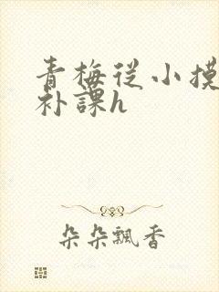 青梅从小摸到大补课h