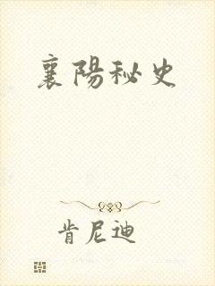 襄阳秘史