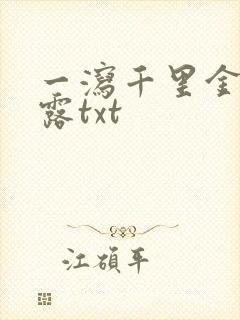 一泻千里金银花露txt