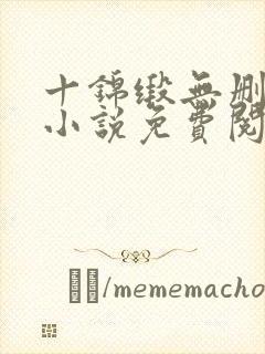 十锦缎无删原著小说免费阅读