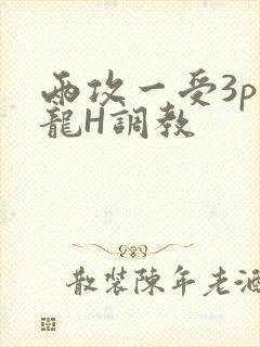 两攻一受3p双龙H调教