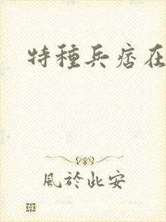 特种兵痞在都市