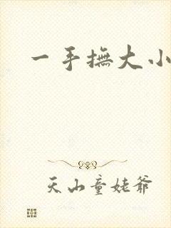 一手抚大小说