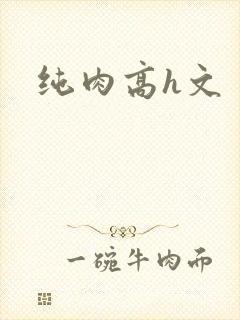 纯肉高h文