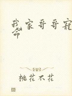 我家哥哥宠妹如命封面