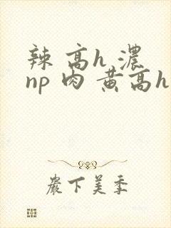 辣 高h 浓 np 肉 黄高h