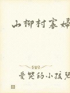 山柳村寡妇情史