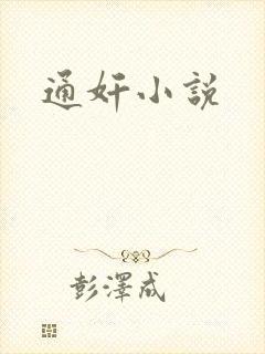 通奸小说