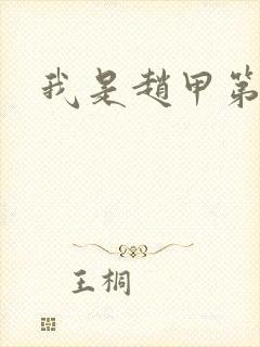 我是赵甲第小说