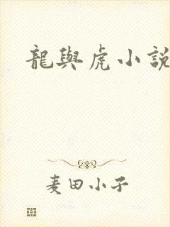 龙与虎小说
