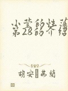 小莹的性荡生活第28的介绍