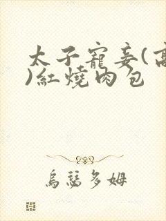 太子宠妾(高肉)红烧肉包