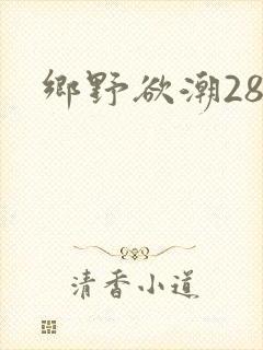乡野欲潮28章