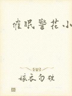 催眠警花小说