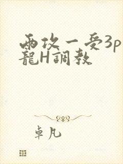 两攻一受3p双龙H调教