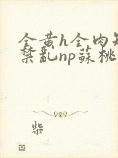 全黄h全肉短篇禁乱np苏桃