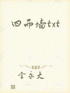 四面墙txt