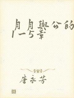 月月与公的激情1一5章