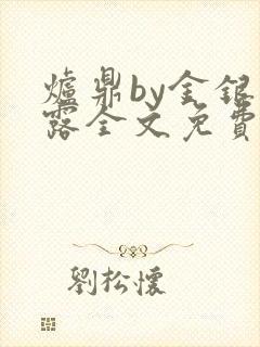 炉鼎by金银花露全文免费阅读笔趣阁